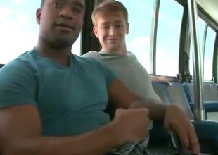 Black gay guy goes black on public bus